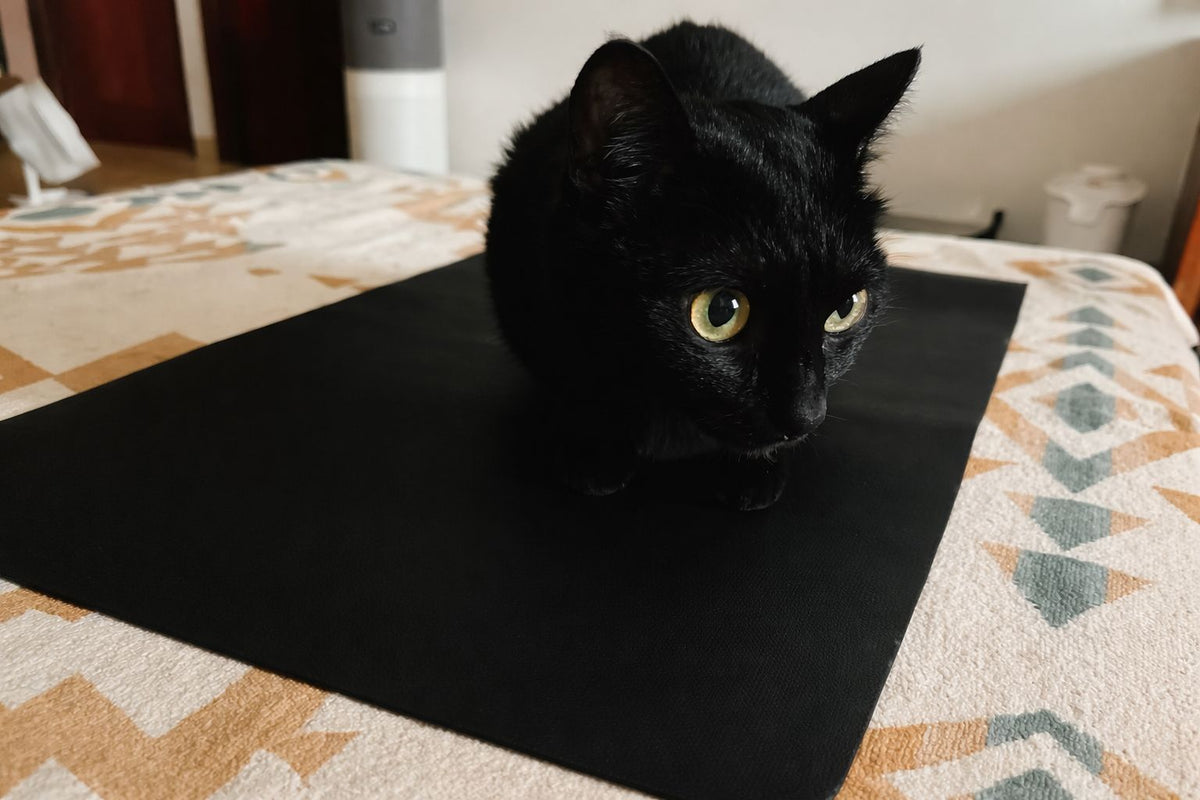Ciencia en casa